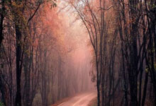 IM体育：戴维斯40+12詹姆斯再砍三双 客场力克马刺.