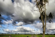 🔥切尔西vs莫雷坎比首发：恩昆库、内托首发，帕尔默、桑乔替补.